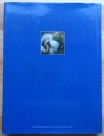 Renaat Veris, monografie 1996, Ophalen of Verzenden, Zo goed als nieuw, Frans Boenders, Schilder- en Tekenkunst