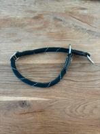 Hondentuig/ stropketting, Ophalen, Hondenriem