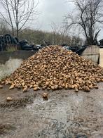 Suikerbieten, Zakelijke goederen, Landbouw | Veevoer, Ophalen