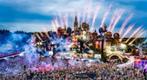 Tomorrowland | 19 juillet | 2024., Tickets & Billets, Événements & Festivals, Une personne