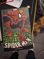 Omnibus marvel + scalped tome 1, Boeken, Ophalen