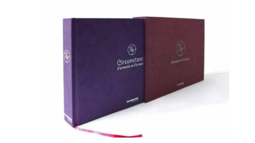 Uniek zwaar boek Formento+Formento, Boeken, Kunst en Cultuur | Fotografie en Design, Fotografen, Ophalen of Verzenden