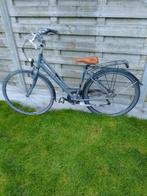 Vélo pour fille, Vitesses, Moins de 47 cm, Minerva, Enlèvement