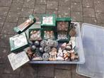 Lotje kerstspullen incl. bak, Ophalen, Gebruikt, Onbekend, Onbekend