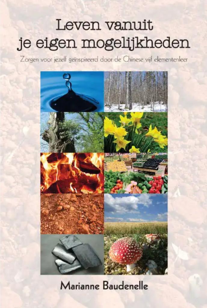 Leven vanuit je eigen mogelijkheden, Marianne Baudenelle, Boeken, Psychologie, Ophalen