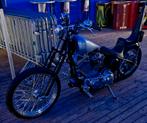 Harley davidson, Motoren, 2 cilinders, Chopper, Particulier, 1200 cc
