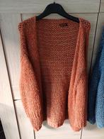 Cardigan van lululove TU, Ophalen of Verzenden, Zo goed als nieuw