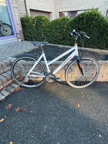 NORTA sportieve damesfiets beschikbaar voor biedingen