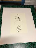 DEGAS  étude de danseuse, Ophalen of Verzenden