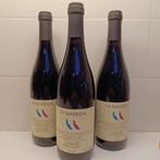 9 flessen Le Salette Amarone La Marega 1997, Pleine, Italie, Enlèvement ou Envoi, Vin rouge
