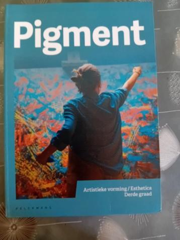 Pigment Artistieke vorming / Esthetica 3de graad, Enlèvement ou Envoi, Comme neuf, Secondaire, Autres matières