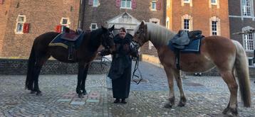 Portugese barok zadels disponible aux enchères