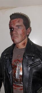 Terminator, Enlèvement