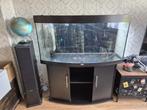 aquarium juwel vision 260 met toebehoren, Dieren en Toebehoren, Ophalen, Gebruikt, Leeg aquarium