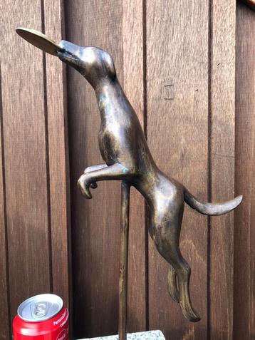 bronzen hond vangt frisbee 