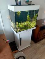 Aquarium Lido 120 terrarium, Ophalen, Zo goed als nieuw
