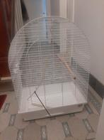 Kooi, Ophalen of Verzenden, Vogelkooi