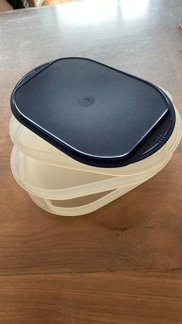 Tupperware beleg/kaas 3 lage schalen en 1 blauw deksel beschikbaar voor biedingen
