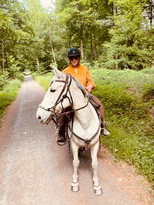 HALVE STAL GEZOCHT, Dieren en Toebehoren, Stalling en Weidegang, 1 paard of pony