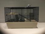 Nieuwe hamsterkooi, Dieren en Toebehoren, Knaagdieren en Konijnen | Hokken en Kooien, Ophalen, Nieuw, Kooi, Hamster