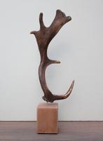 DAMHERT GEWEI op houten sokkel - ref. F, Ophalen of Verzenden, Nieuw, Hert, Gewei of Kop