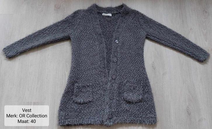 Vest dames: OR Collection maat 40 (NIEUWSTAAT), Kleding | Dames, Truien en Vesten, Nieuw, Maat 38/40 (M), Grijs, Ophalen of Verzenden