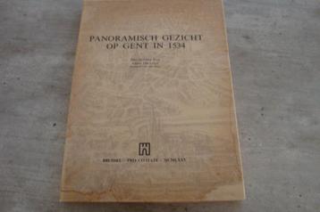 PANORAMISCH GEZICHT OP GENT IN 1534 beschikbaar voor biedingen