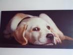 canvas hond 80 op 40 cm (als nmieuw), Huis en Inrichting, Woonaccessoires | Wanddecoraties, Zo goed als nieuw, Ophalen