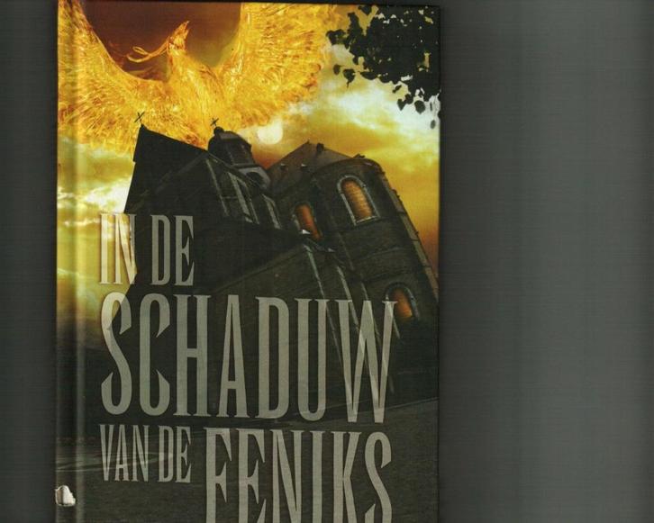 In de schaduw van de feniks dansl'ombre du phenix grimbergen, Boeken, Thrillers, Zo goed als nieuw, Ophalen of Verzenden