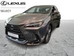 Lexus NX 450h+ Privilege Line, Hybride Électrique/Essence, Automatique, Achat, Verrouillage centralisé sans clé