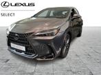 Lexus NX 450h+ Privilege Line, Auto's, Lexus, Automaat, 2487 cc, 137 kW, USB