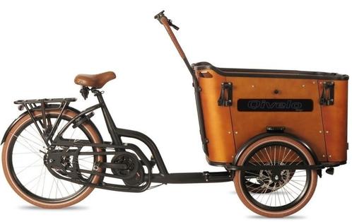 Qivelo Ananda Curve elektrische bakfiets driewieler fiets, Fietsen en Brommers, Fietsen | Driewielfietsen, Nieuw, Ophalen of Verzenden