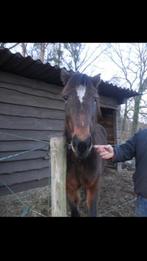 Hout balken en planken., Ophalen
