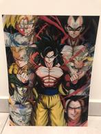 Dragon Ball Z 3D poster, Rechthoekig Staand, Ophalen of Verzenden, Zo goed als nieuw, A1 t/m A3