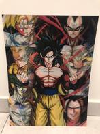 Dragon Ball Z 3D poster, Verzamelen, Rechthoekig Staand, Ophalen of Verzenden, Zo goed als nieuw, A1 t/m A3