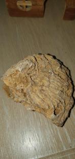 Pierre calcaire pour reptiles. 10 cm, Enlèvement ou Envoi