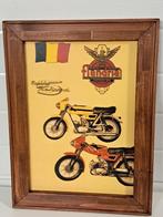 Reclame Flandria Record/karton, Ophalen of Verzenden, Gebruikt, Reclamebord