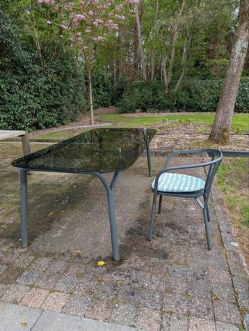 Tuinset Roche Bobois met eettafel en 6 stoelen met kussens beschikbaar voor biedingen