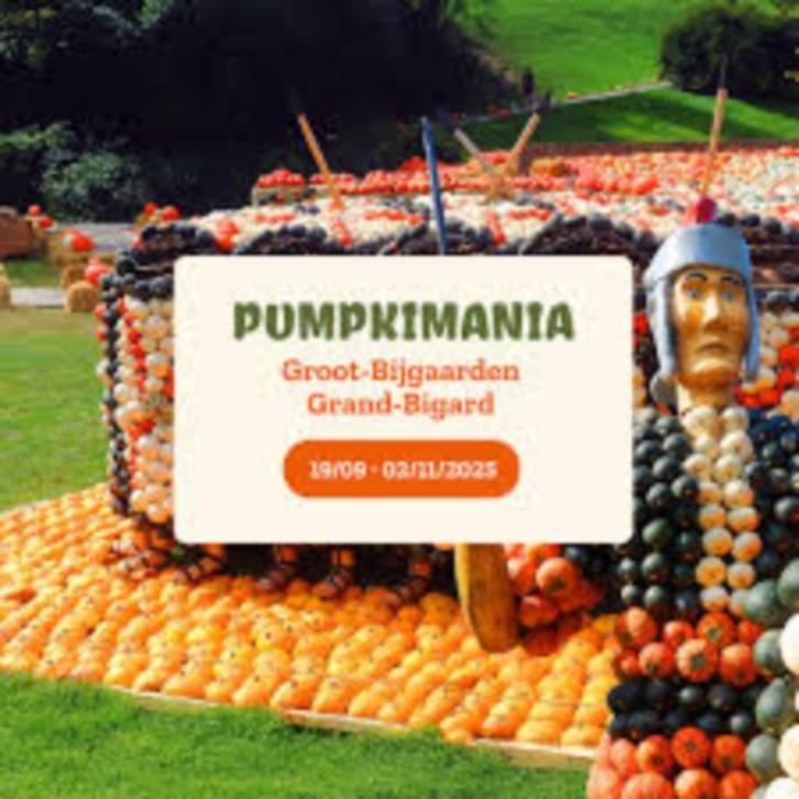 4 Tickets Pumpkimania 2025, Tickets en Kaartjes, Evenementen en Festivals