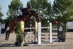 Trainingsstal aangeboden, Dieren en Toebehoren