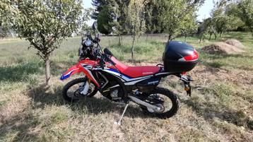 Honda CRF RALLY 250  disponible aux enchères