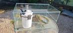 Schildpadden aquarium met filter, Dieren en Toebehoren, Ophalen, Gebruikt