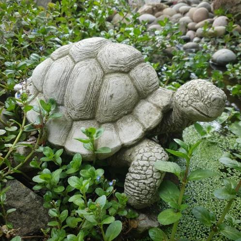 Betonnen tuinbeeld - schildpad groot, Tuin en Terras, Tuinbeelden, Nieuw, Dierenbeeld, Beton, Verzenden