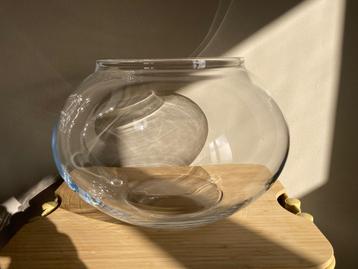 Platte bol aquarium - terrarium  beschikbaar voor biedingen