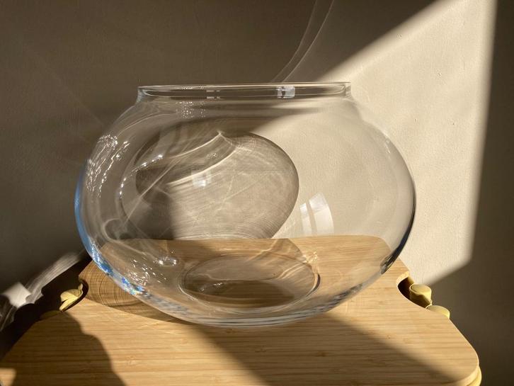 Platte bol aquarium - terrarium, Dieren en Toebehoren, Vissen | Aquaria en Toebehoren, Overige typen, Ophalen