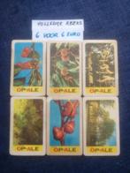 Volledige reeks bierviltjes Op-Ale - bomen in bloei - €6, Enlèvement ou Envoi, Sous-bock