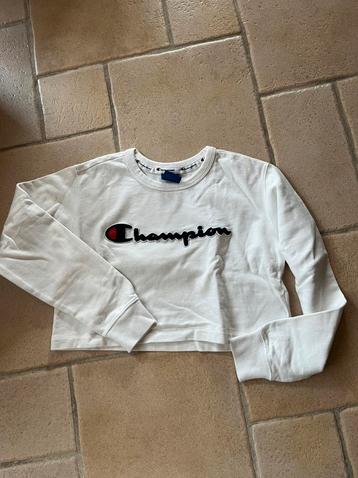 Champion pull xs, Enlèvement ou Envoi, Taille 34 (XS) ou plus petite