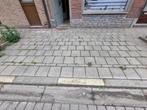 bijverdiensten omgeving Kruibeke, Ophalen of Verzenden