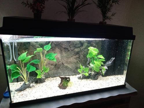 Aquarium 110l Juwel, Dieren en Toebehoren, Vissen | Aquaria en Toebehoren, Zo goed als nieuw, Ophalen of Verzenden
