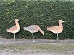 Houten siereenden, 3 stuks, Eend